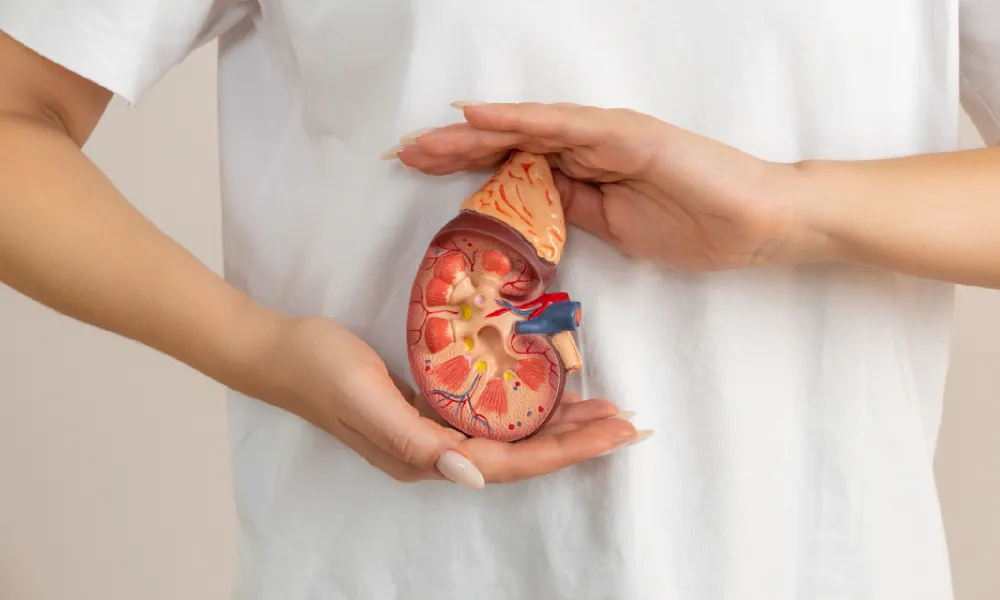 Top cinci cauze comune ale pietrelor la rinichi și cum să le evităm