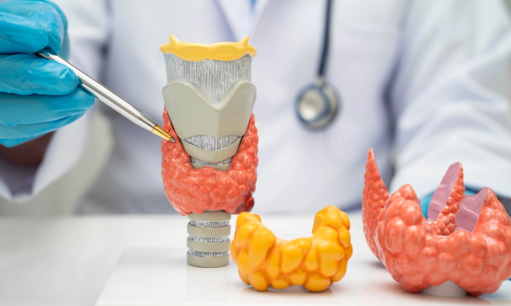 Boala Graves: Cauze, Simptome și Tratamente pentru Hipertiroidism Autoimun