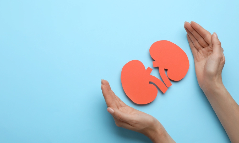 12 februarie 2026 - Ziua Mondială a rinichiului