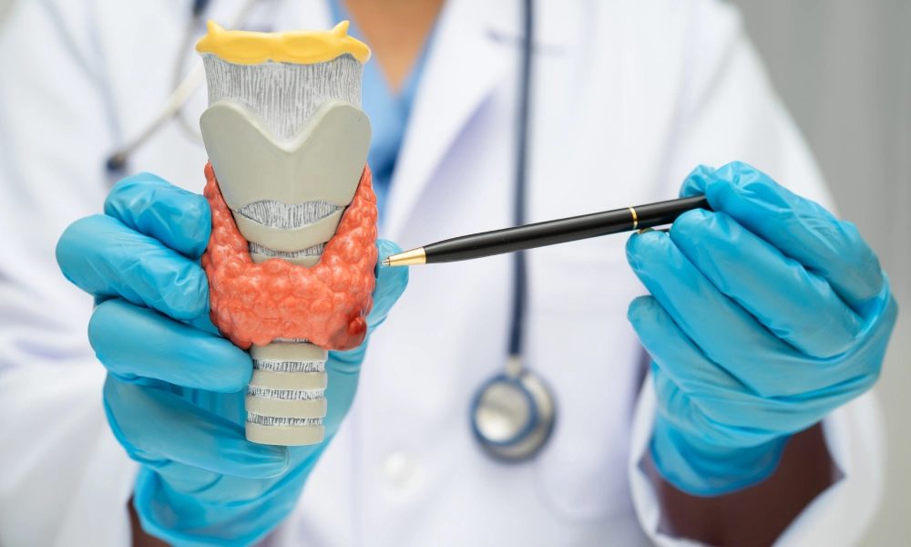 Tiroidita Hashimoto: cauze, simptome, diagnostic și tratament