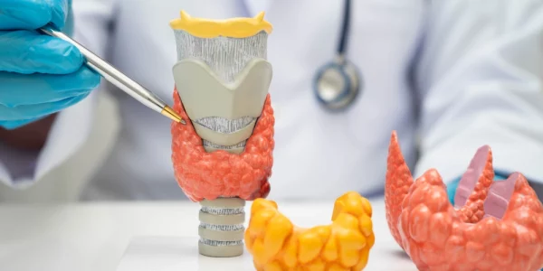 Boala Graves: Cauze, Simptome și Tratamente pentru Hipertiroidism Autoimun